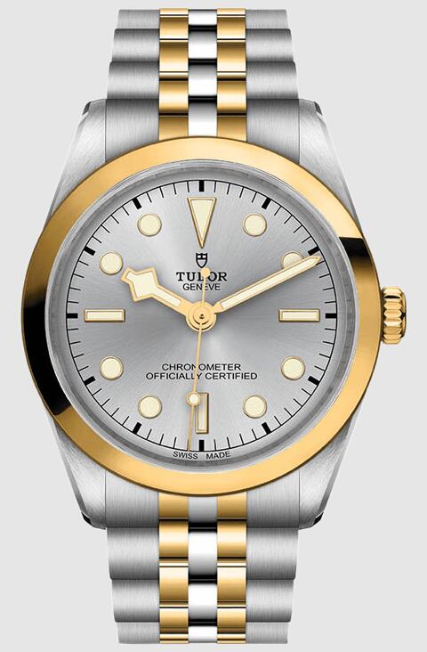 Tudor Black Bay 36 S&G 79643-0002 Replica Watch